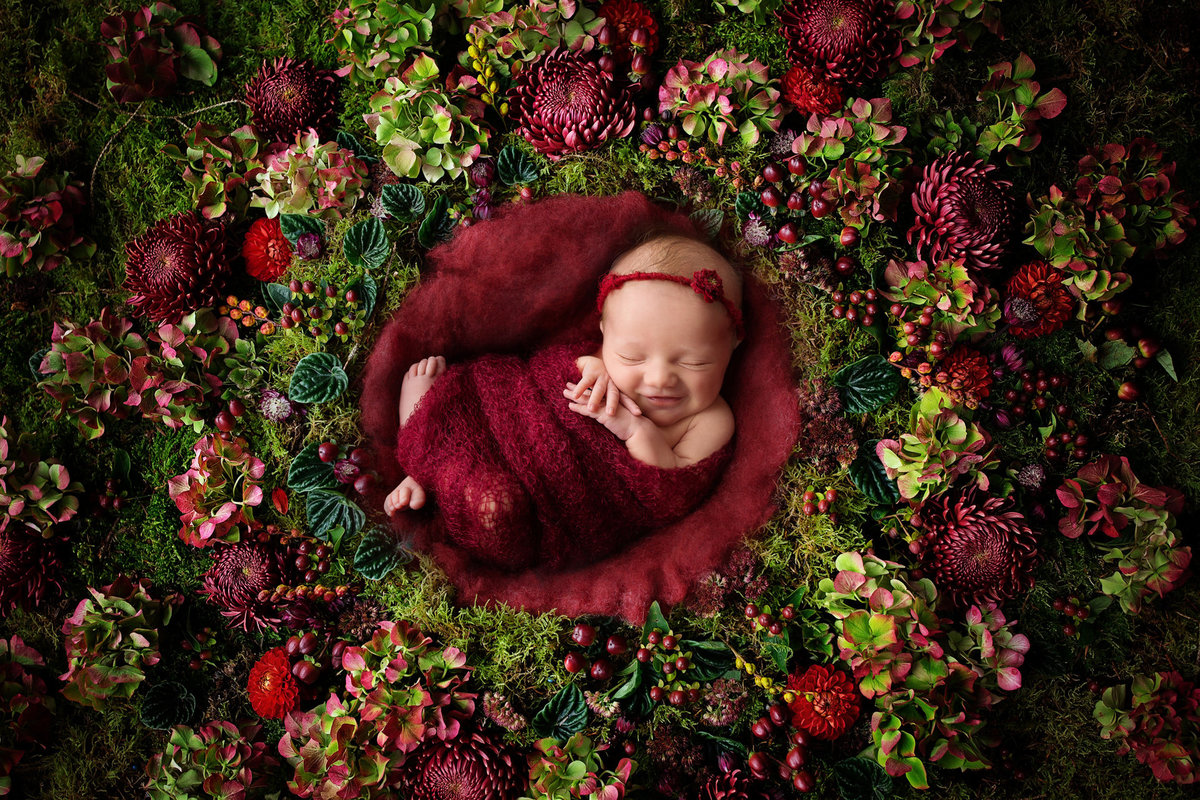 newborn in flowers251