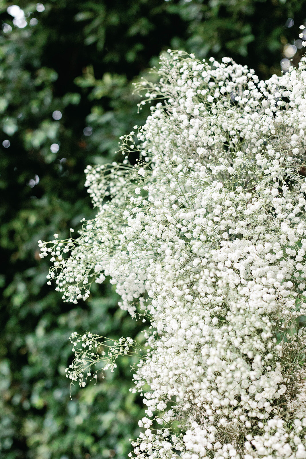 AmandaMike_Wedding0363