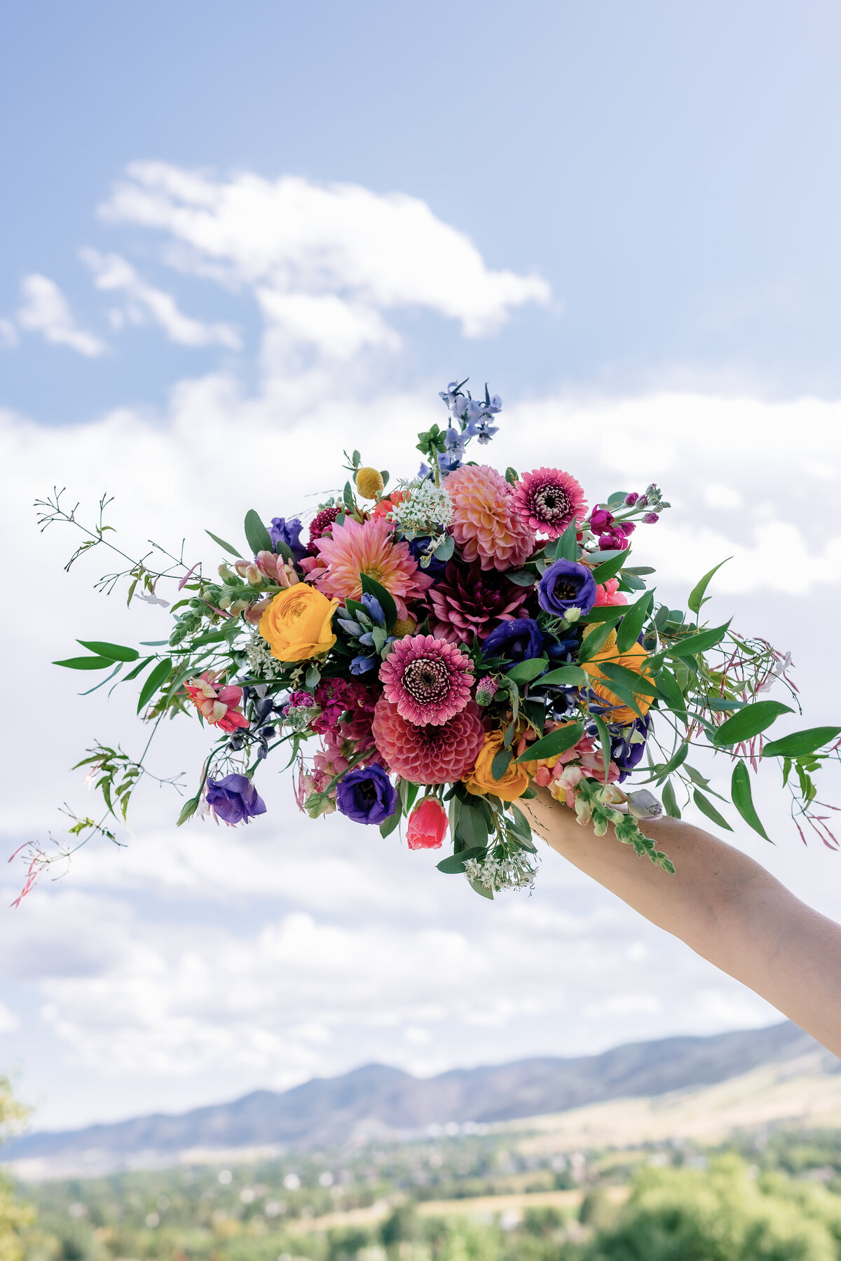 Alex Segall Photography (84 of 479)