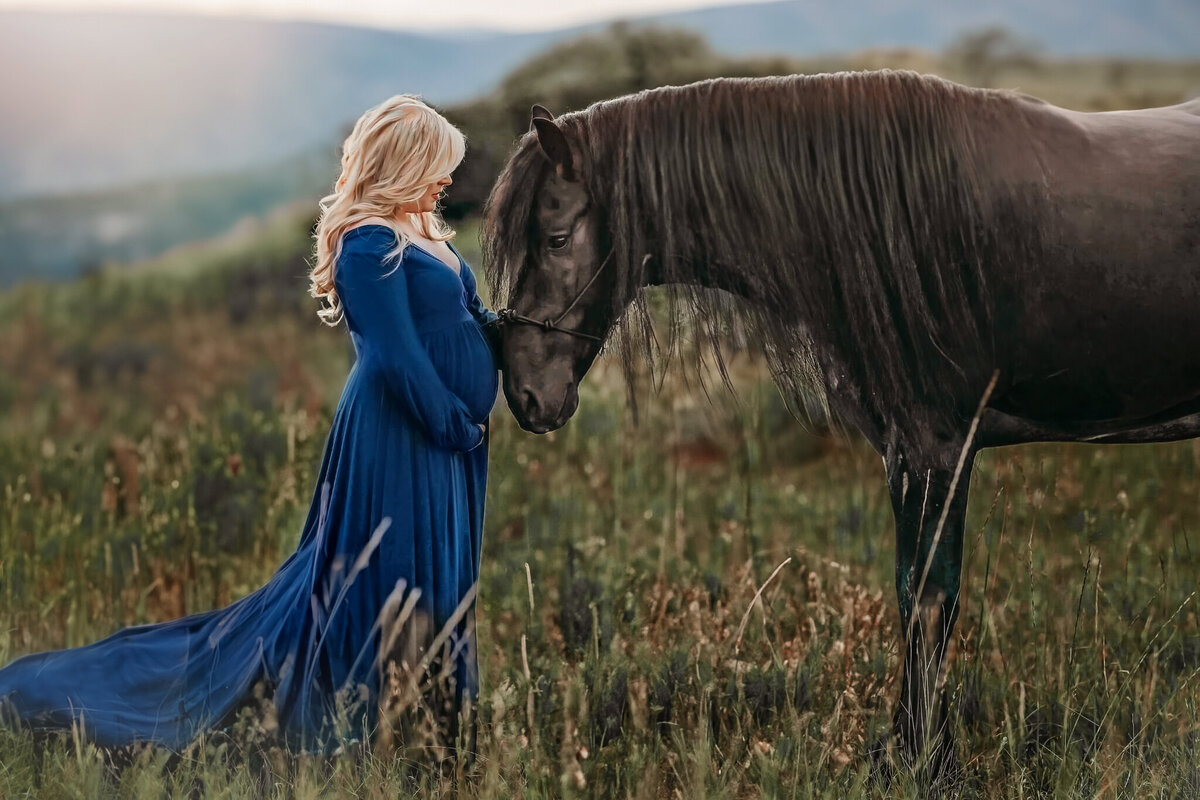 horse-photo-maternity76