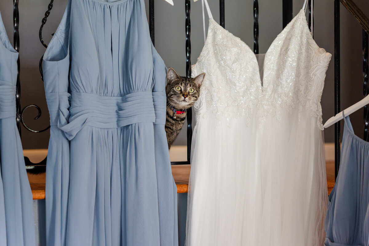 Ashley & Gabe - New Jersey Wedding Photographer Meghan Luckenbill Photography-100