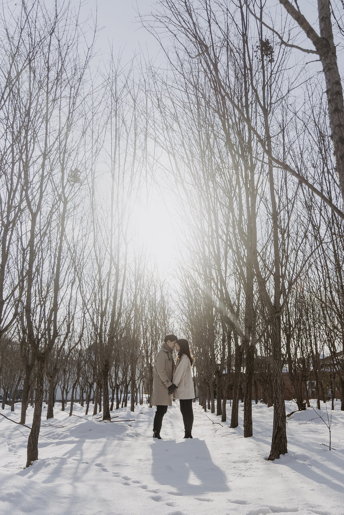the couple hold hands and put their foreheads together on a snowy forest under the sun in damyang