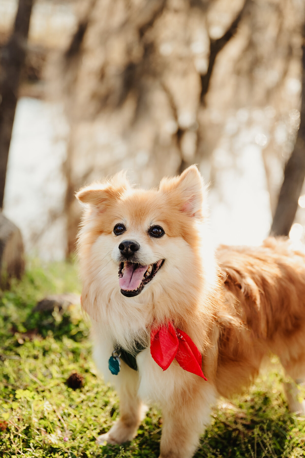 NinaJ_Spring2025_031