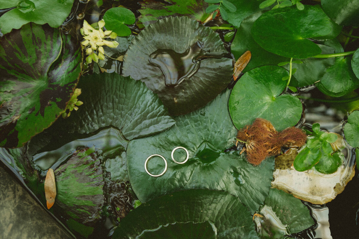 Garfield Park Conservatory Wedding | Chicago Wedding at The Emily Hotel, Hoxton & Canal Eatery00030