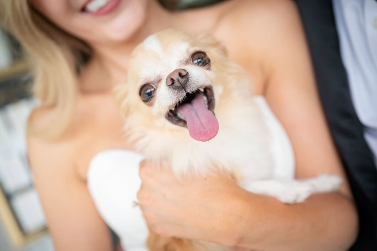 grandrapidsweddingphotography-mm-16_1