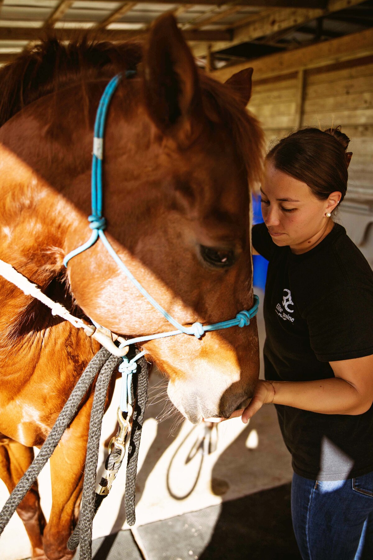 animal care photographer vero beach florida