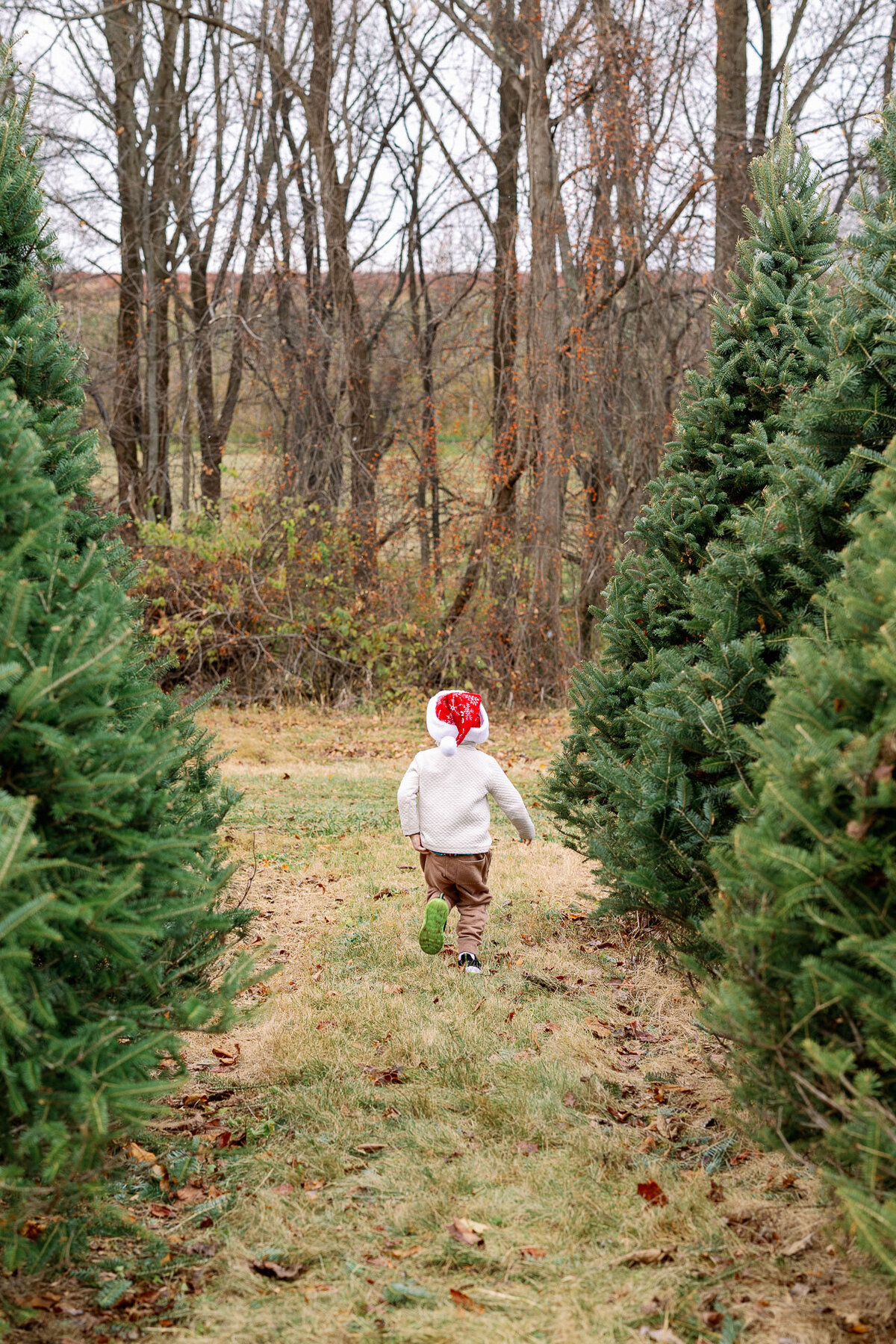 christmas-tree-mini-sessions-family-photography-42-2