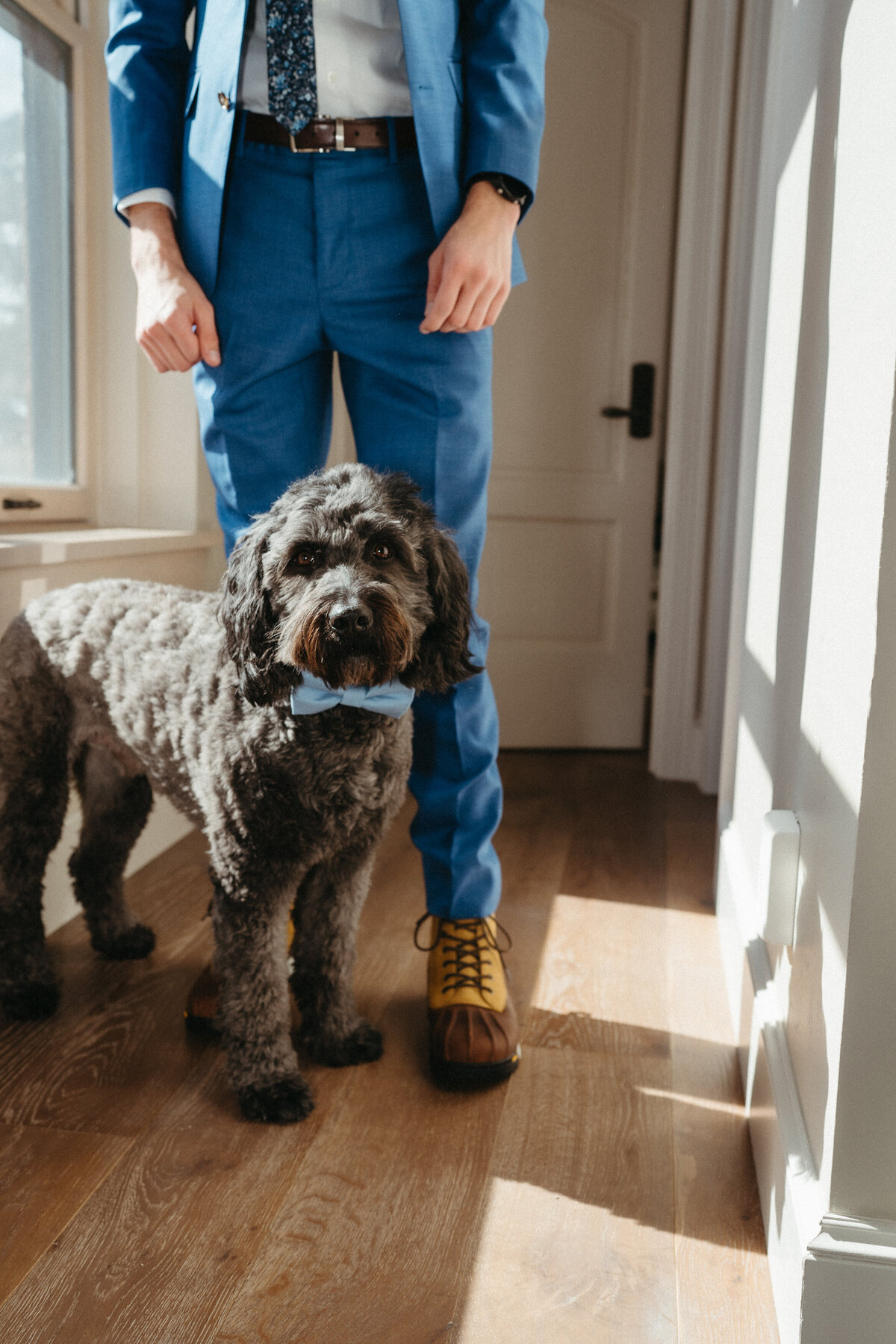 Sam-Murch-Photography-Ouray-Winter-Elopement-with-dog-14