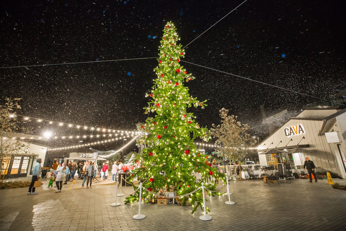Stunning holiday tree display 