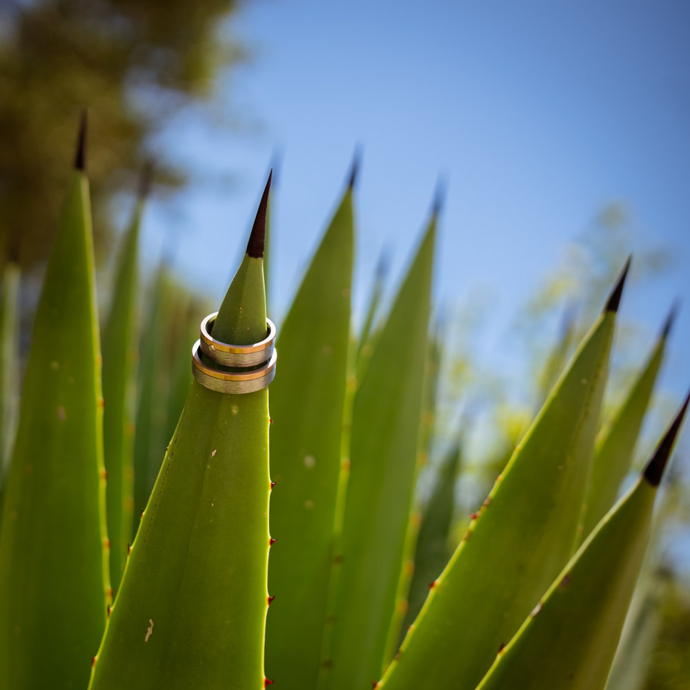 bruidsfotografie Sicilie