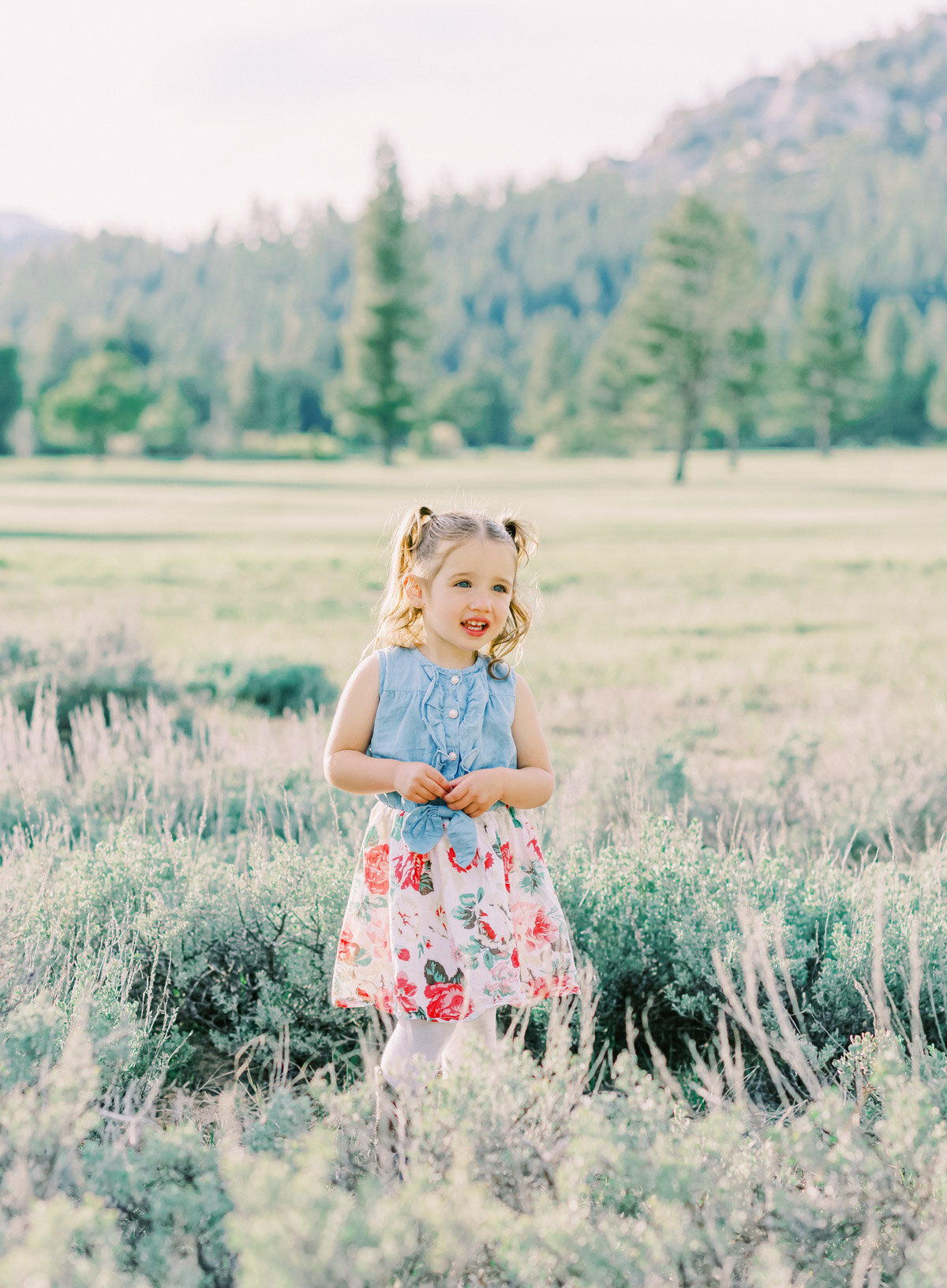 Family Photos in the Tahoe meadows