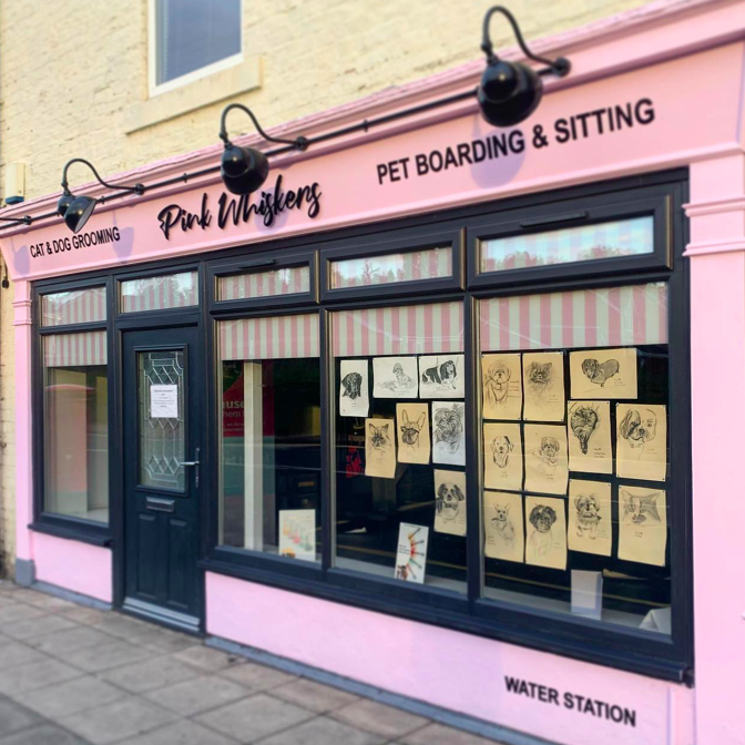 Pink Pet Shop Signage