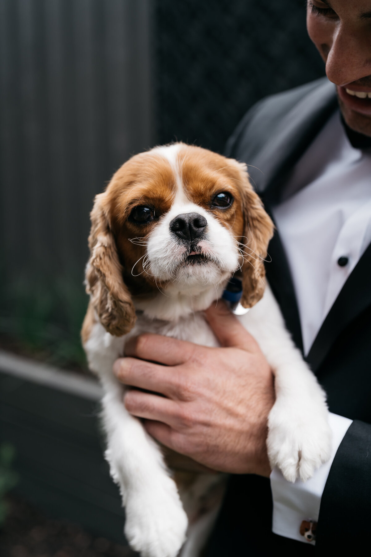 Courtney Laura Photography, Kate and Nick, Yarra Valley Wedding Photographer, Vue on Halcyon-57