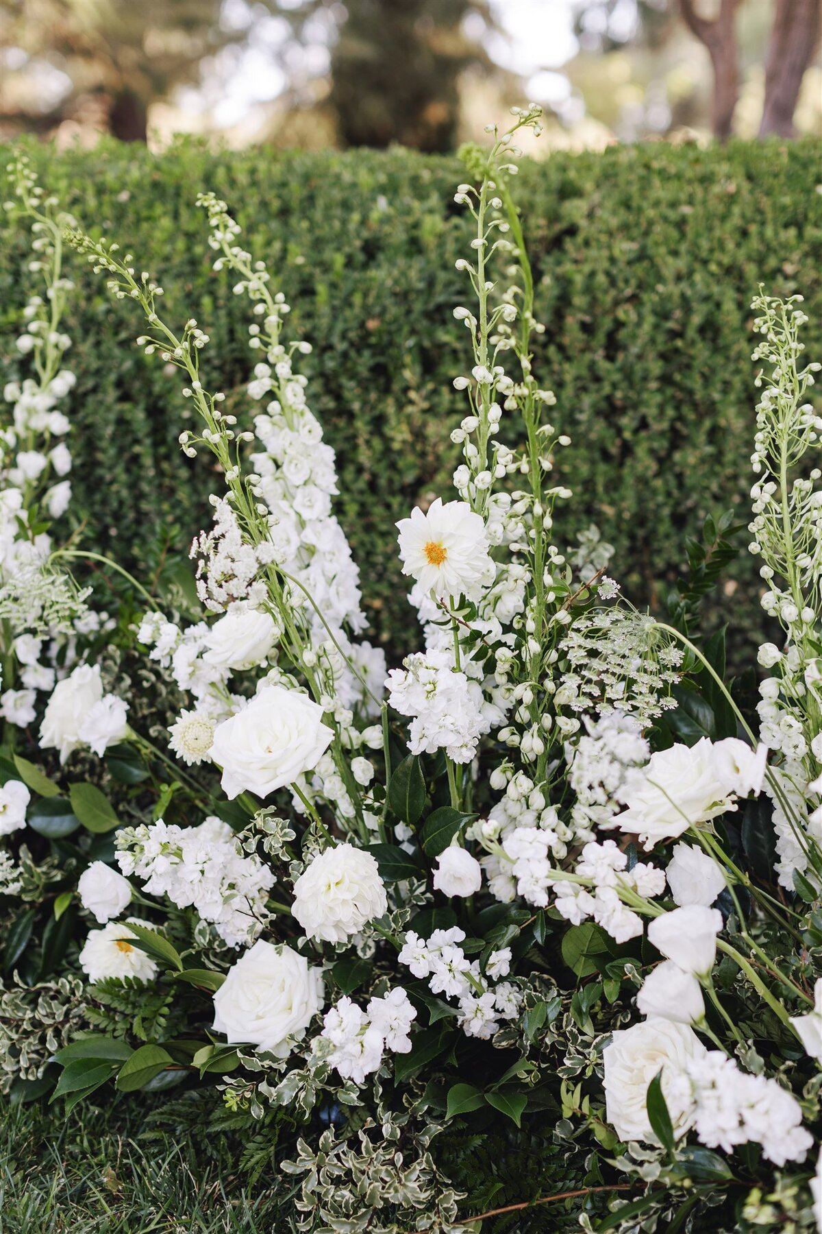 Park-Winters-wedding-Clay-Shauna-previews-ashley-carlascio-photography-0054