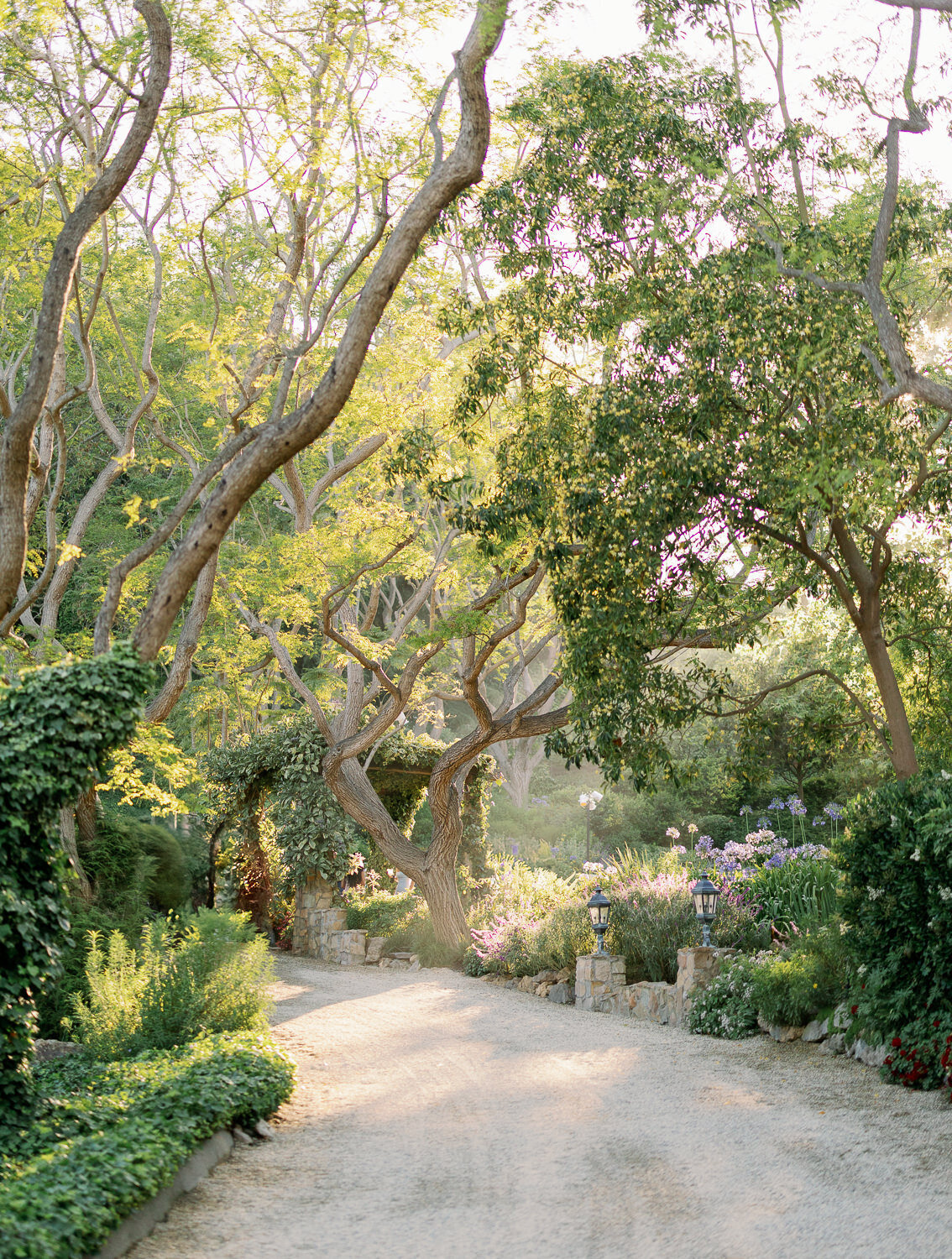 jarrodjphoto_malibu_welcome_dinner-67