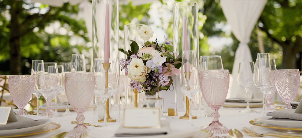 washington-dc-daughters-of-the-american-revolution-wedding-film-rouse-cinema-3