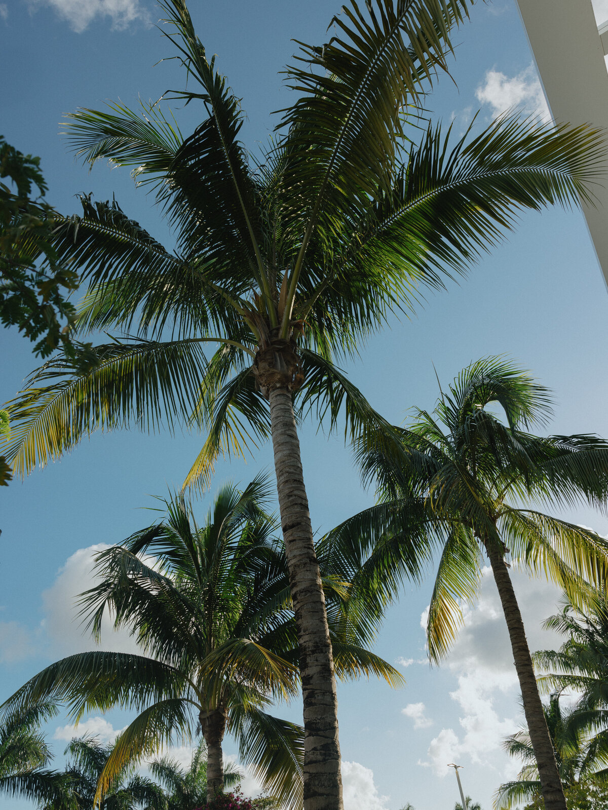 MiamiF1_0341