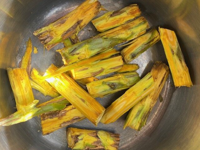 Natural dye workshops Somerset