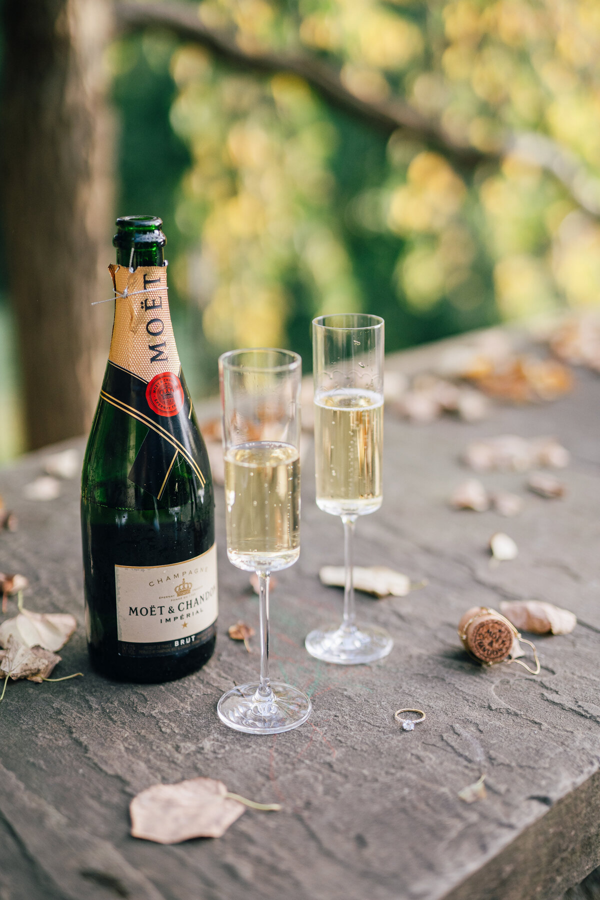 EmmaMcMahanPhotography-03657