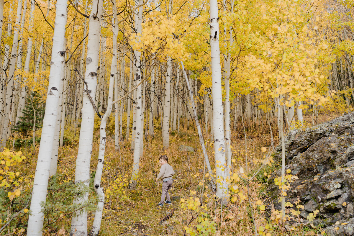 Sam-Murch-Photography-Ouray-Colorado-Fall-Family-Photography-29