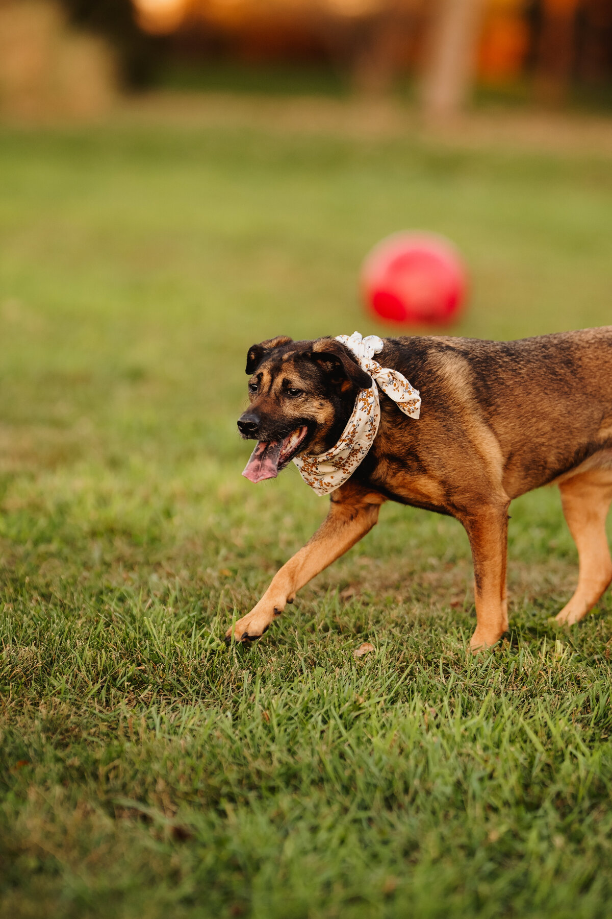 NicoleS_Fall2025_136