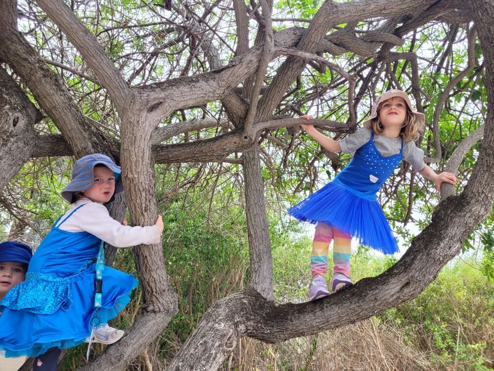 tree