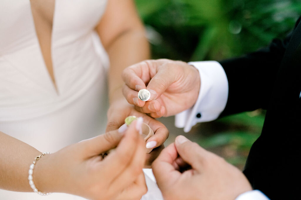 destination wedding in Playa Del Carmen, Mexico