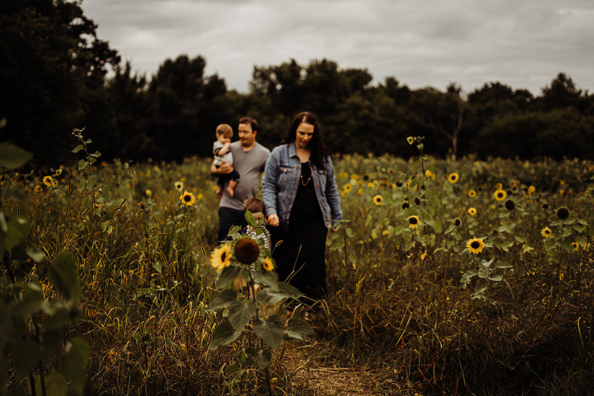 family of four walking through sunflower field