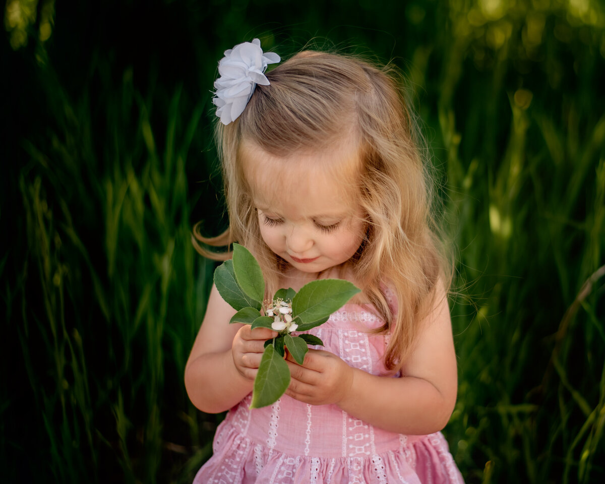 ALP_4056 copy