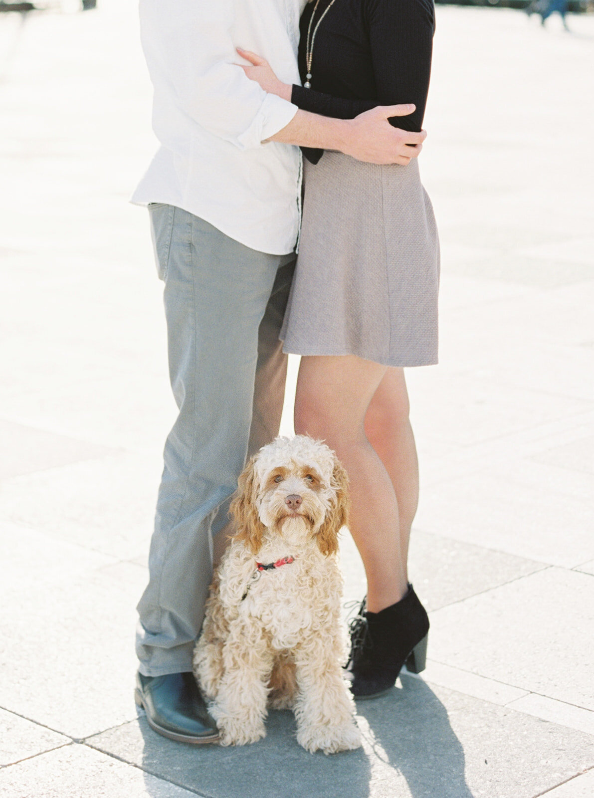 st louis engagement photography 4