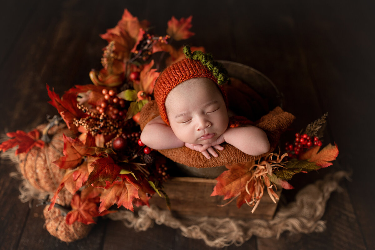 Fall themed newborn photoshoot. Baby is sleeping in a crate surrounded by orange fall leaves and berries. Baby is wearing a knit pumpkin hat.