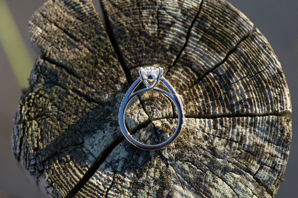 side of engagment ring on driftwood