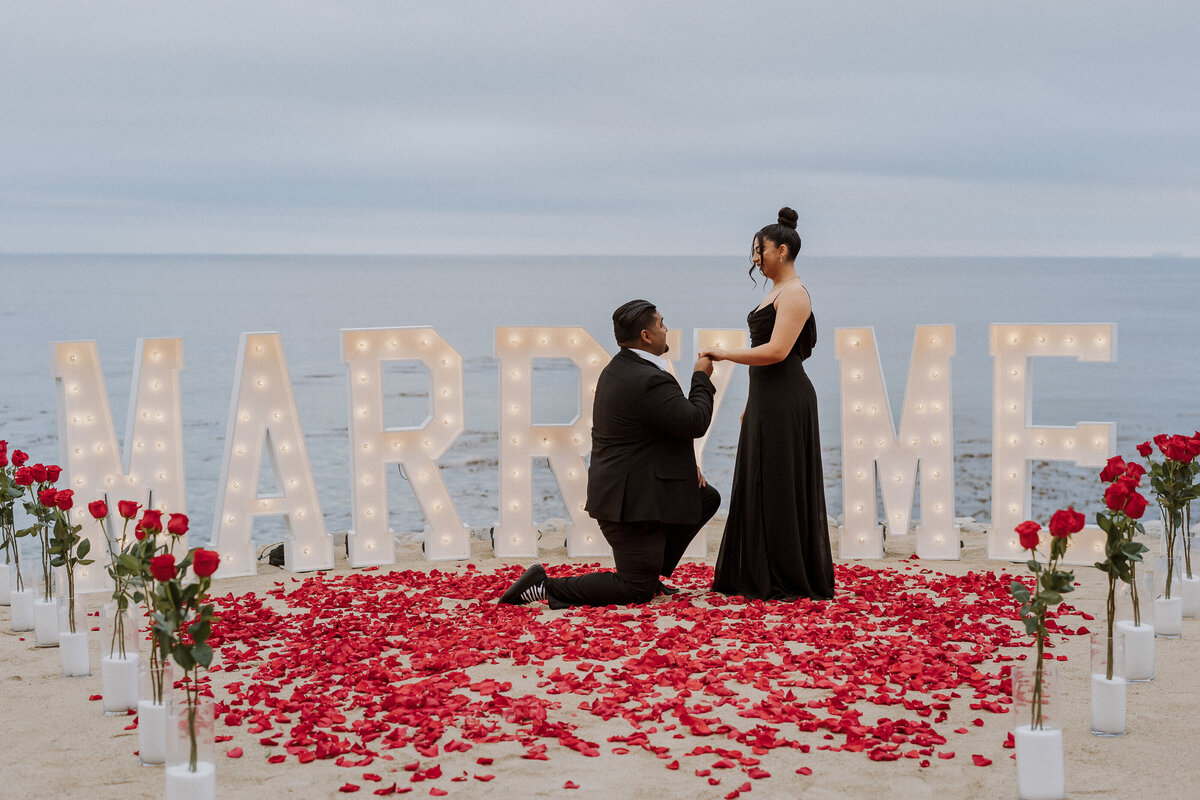 terranea-proposal-engagement-wedding-7