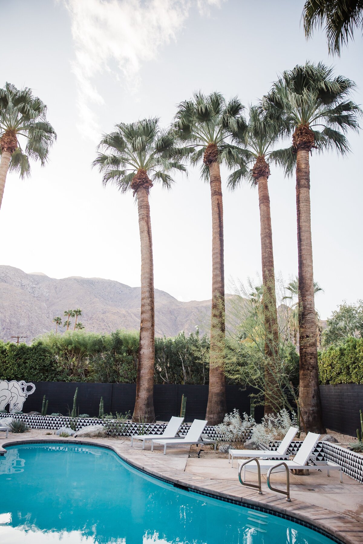 AbieLivesayPhotography-PalmSpringsEngagementPhotographer-PhilKristen-6