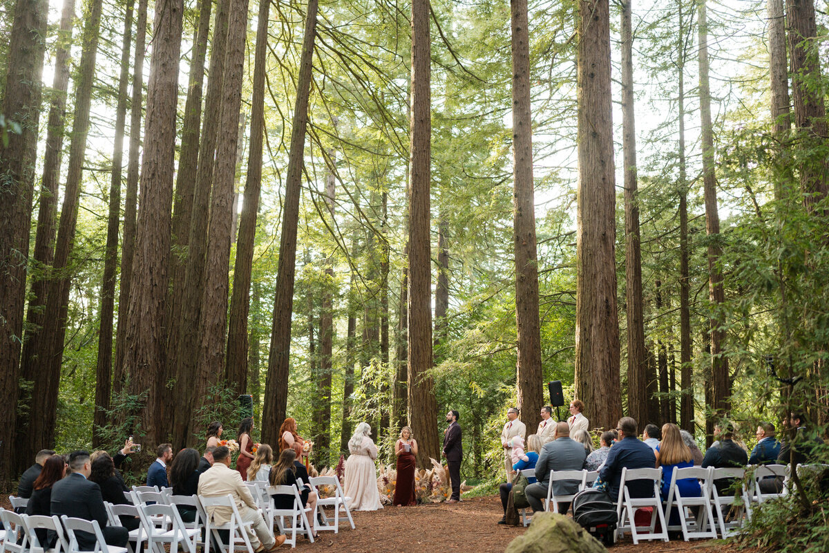 Oakland-California-Redwoods-Wedding-12