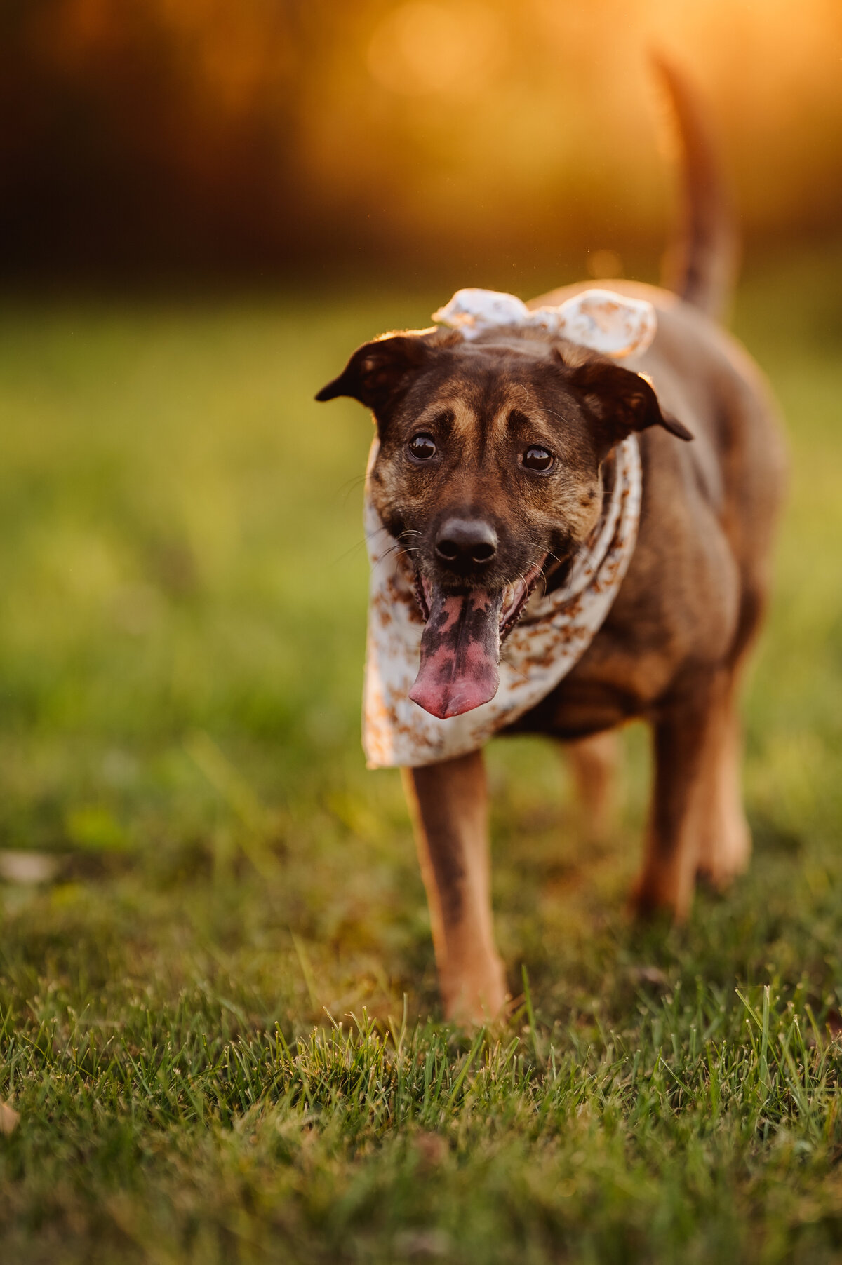 NicoleS_Fall2025_126