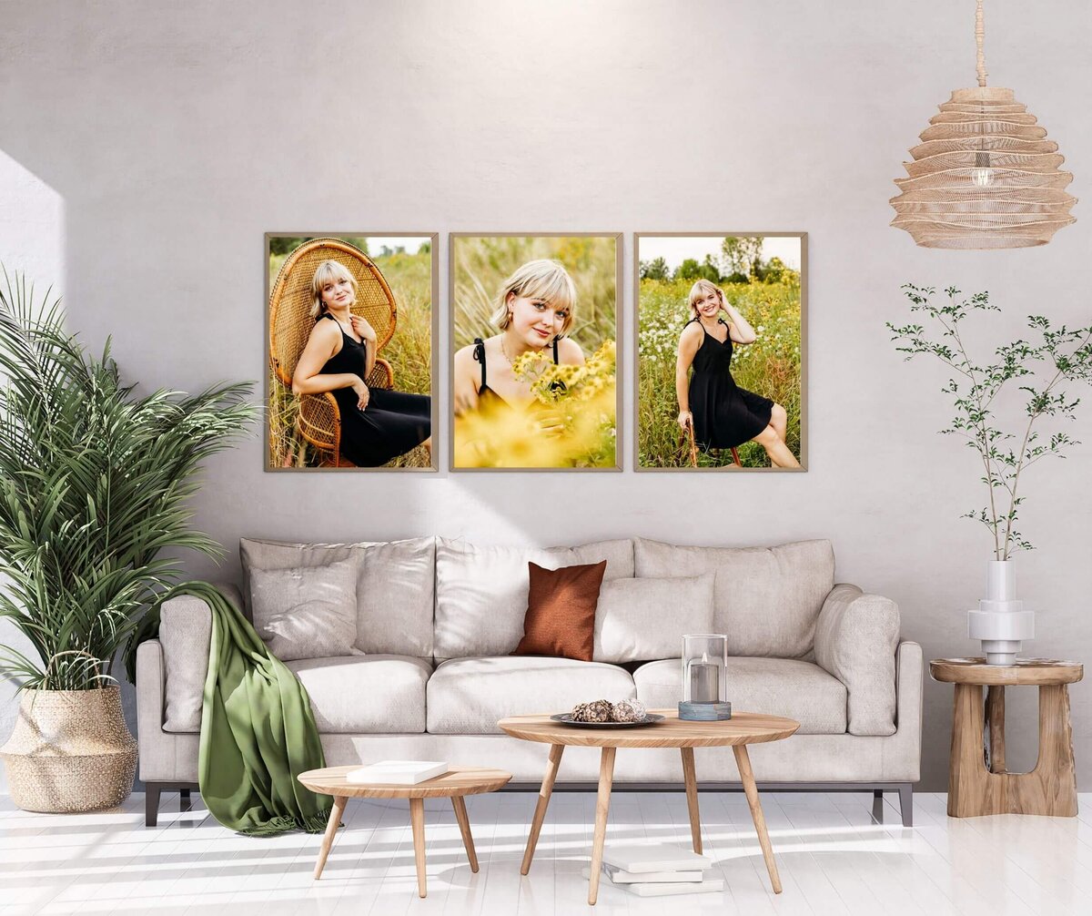 Collage of 3 gorgeous prints hanging in a boho living room