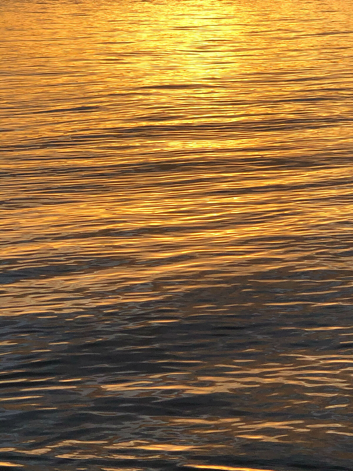 CCC_Estuary_67