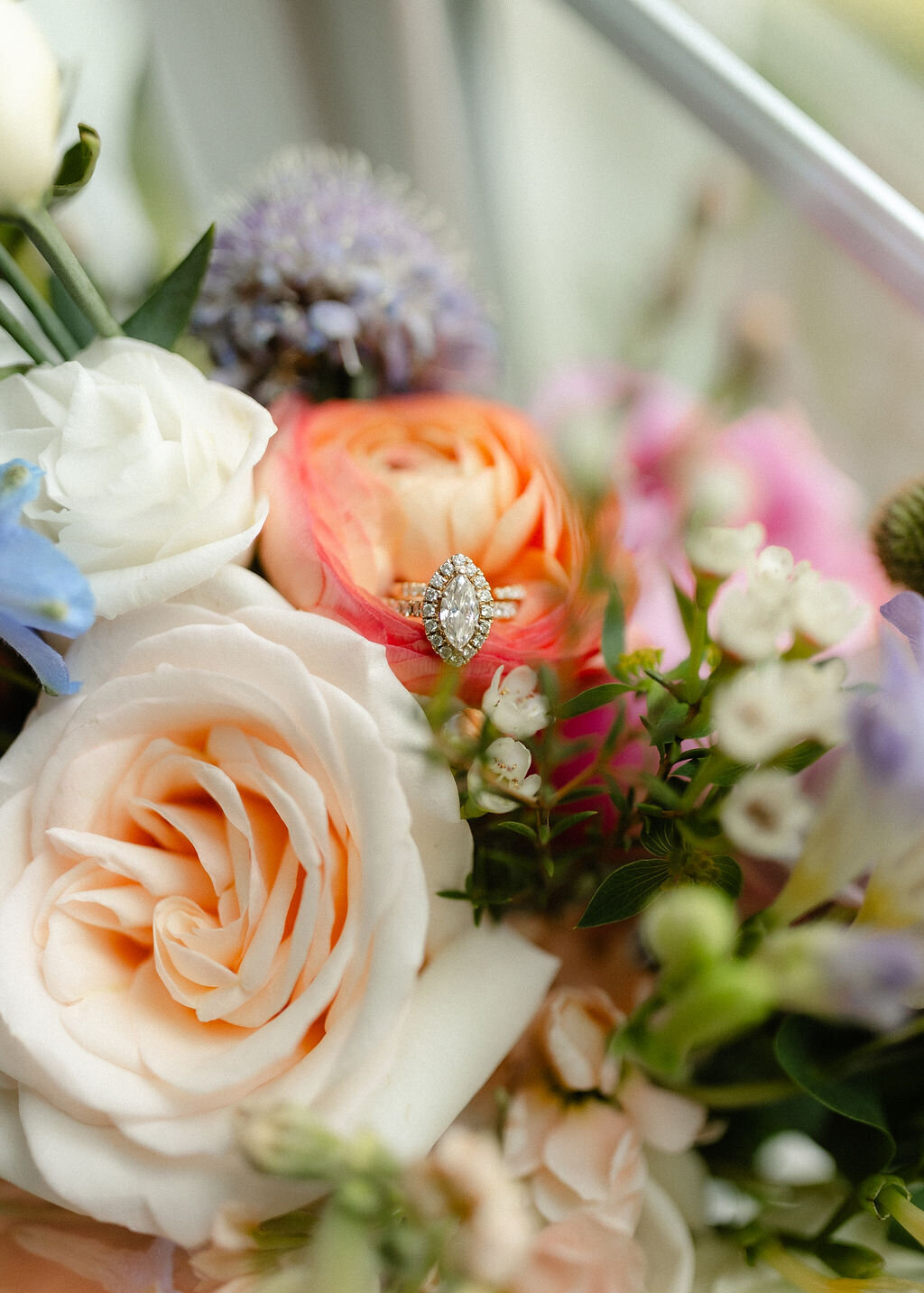 Mr.+Mrs.Graves-ATP-4739
