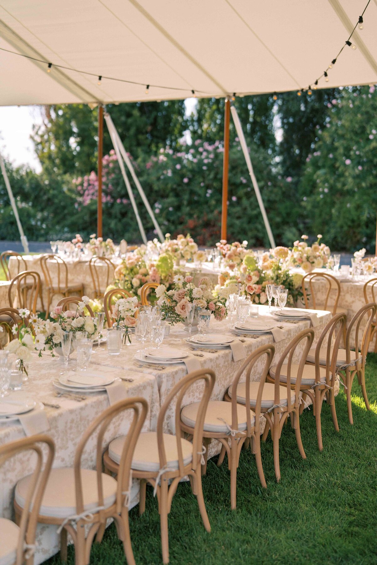WILLOW-BEN-WEDDING-NAPA-PHOTOGRAPHER-45