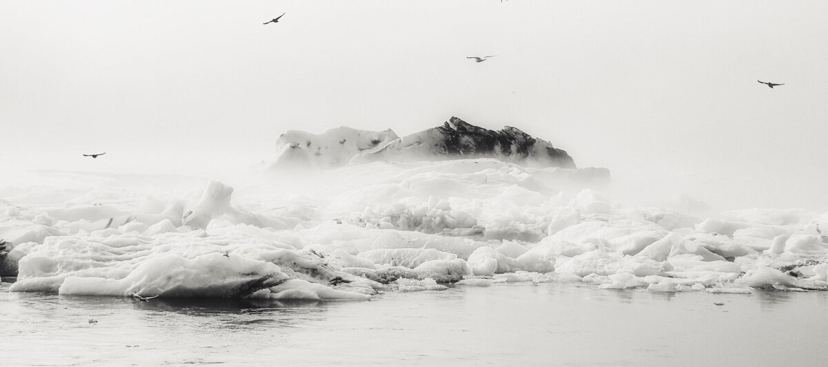 iceland lagoon fog w birds copy