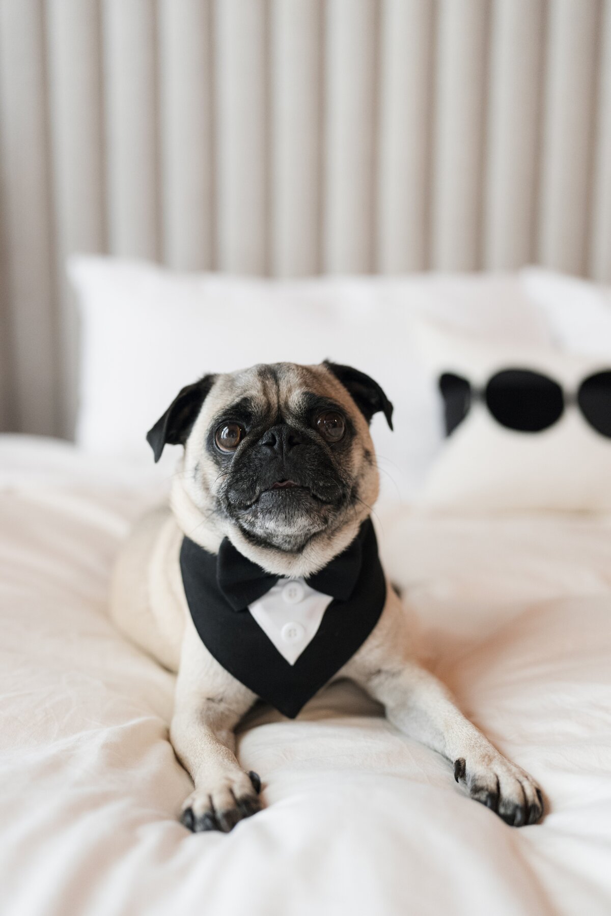 Toronto Wedding Photographer 16
