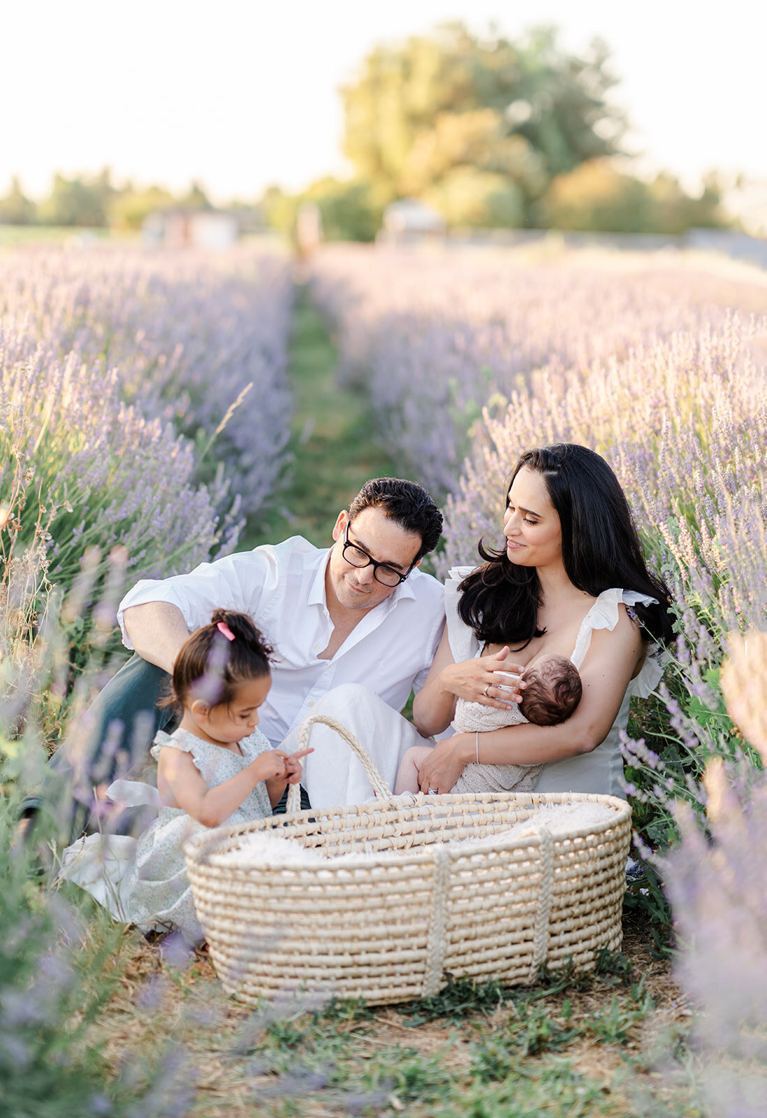 A family of four sits in a field of lavender while the father and mother looks at their toddler daughter lovingly and the mother holds their newborn baby photographed by Bay Area Family Photographer, Light Livin Photography.