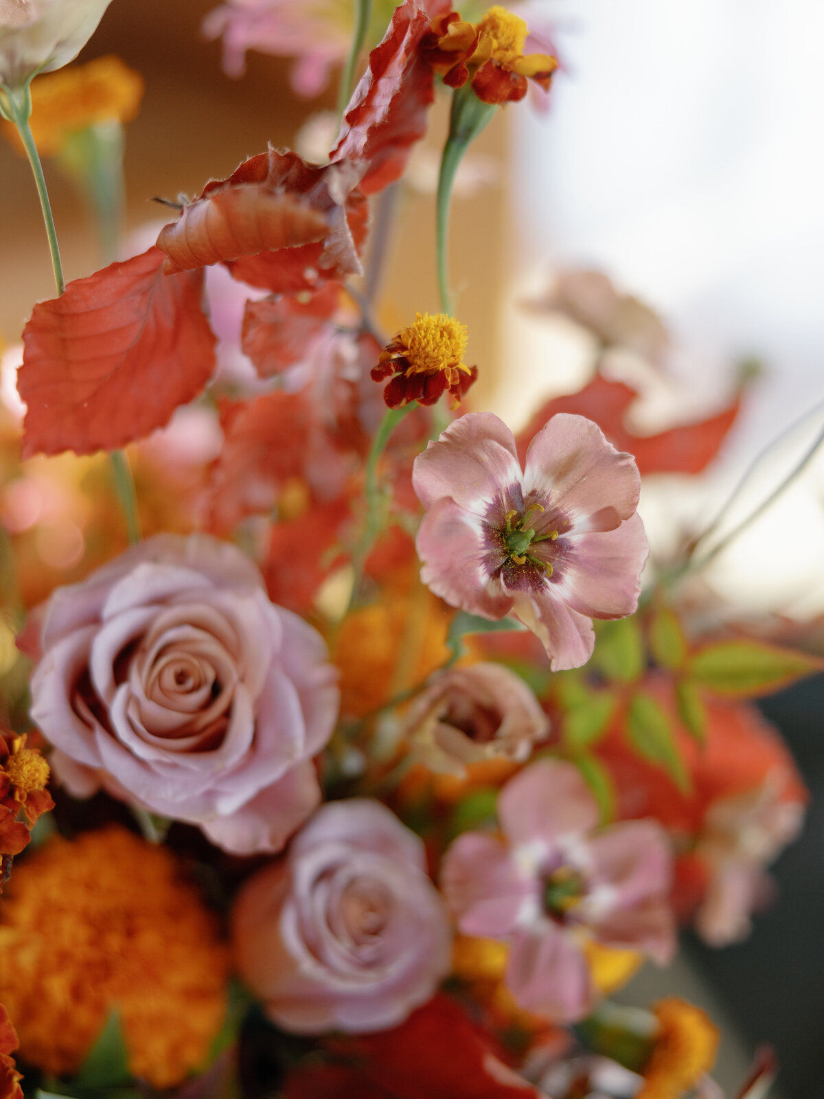 Meredith & Abhinav Wedding-1878