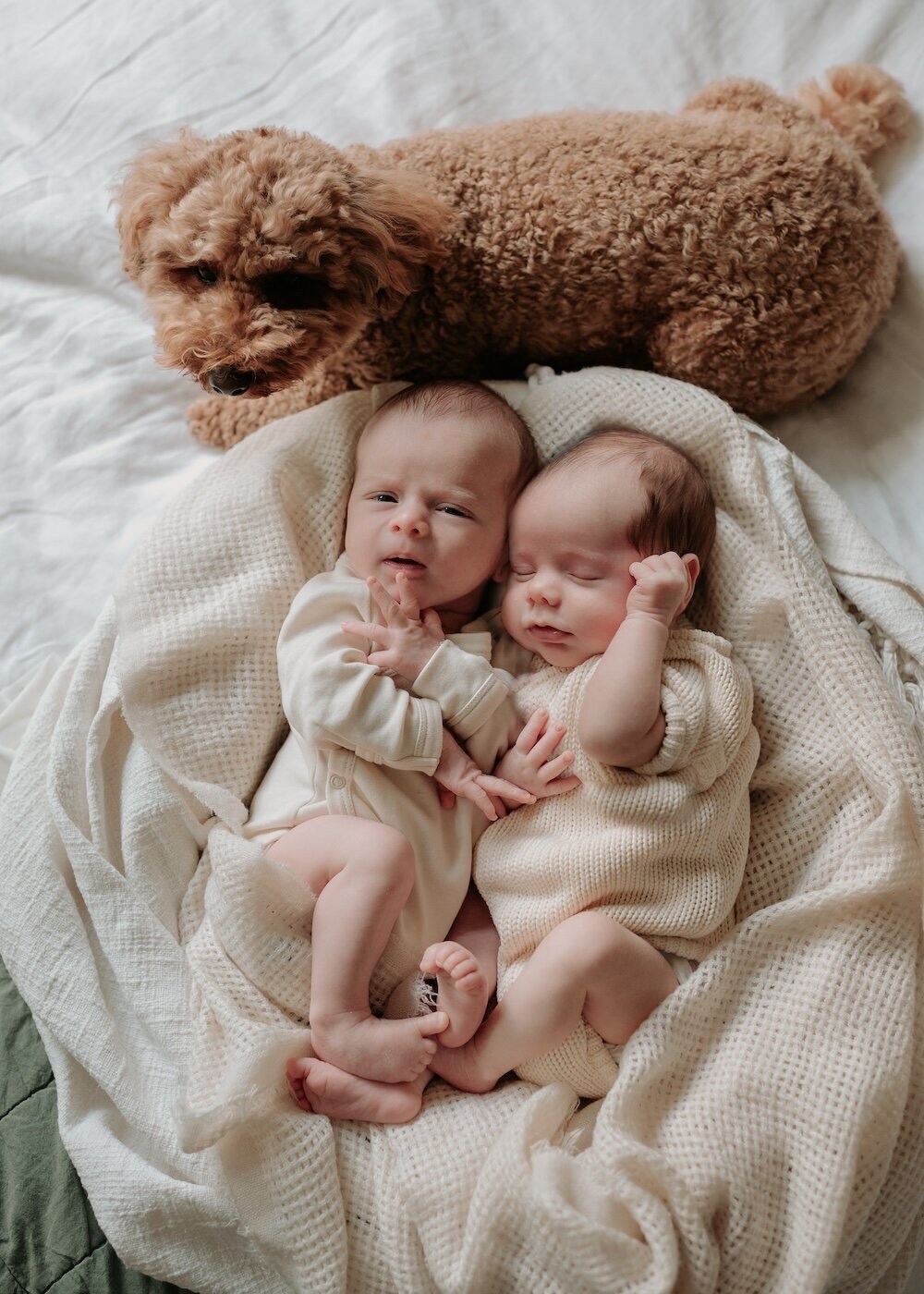 Sydney-newborn-lifestyle-portrait-at-home-photography40