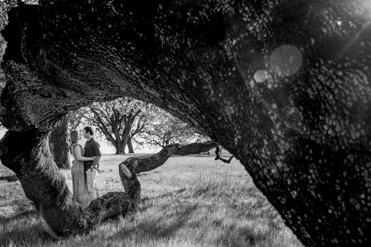 Healdsburg-Engagement-Session28