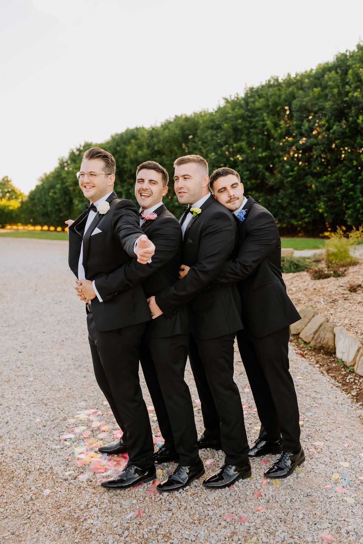 Summergrove Estate - C&D-779