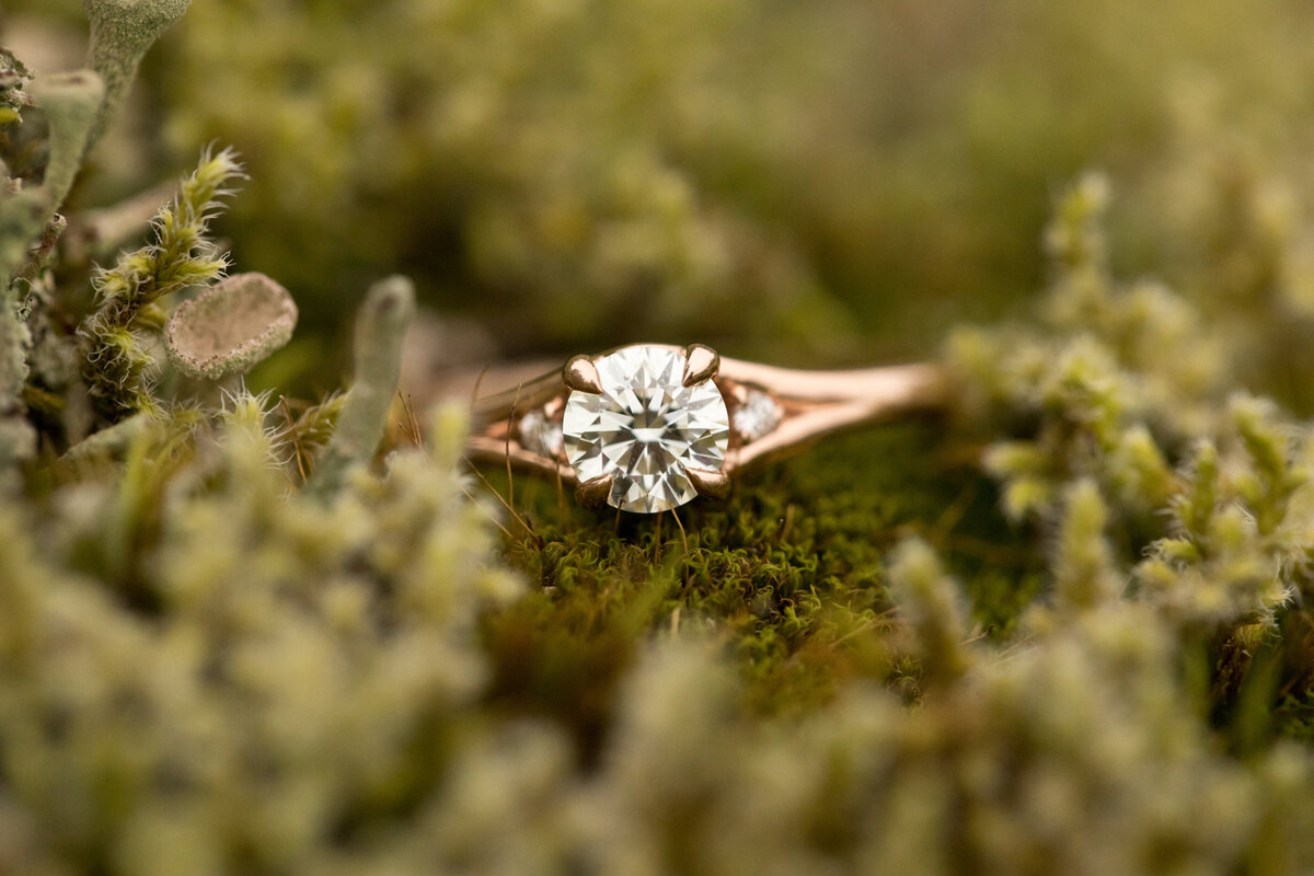 Engagement Sneak Peek-0020