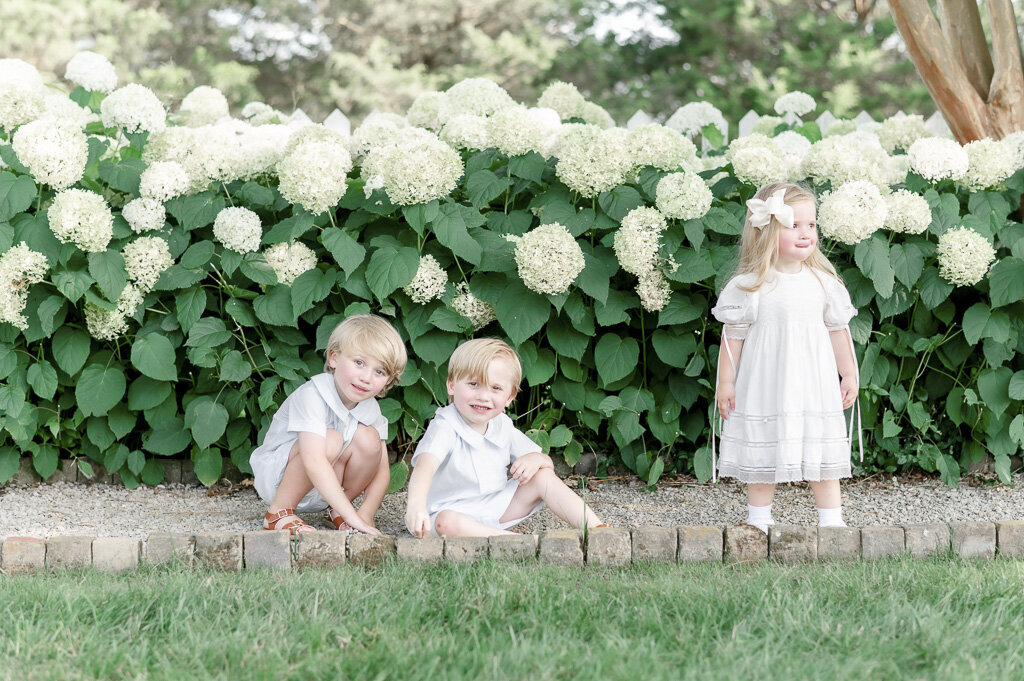 Three siblings play in front of white hydrangeas