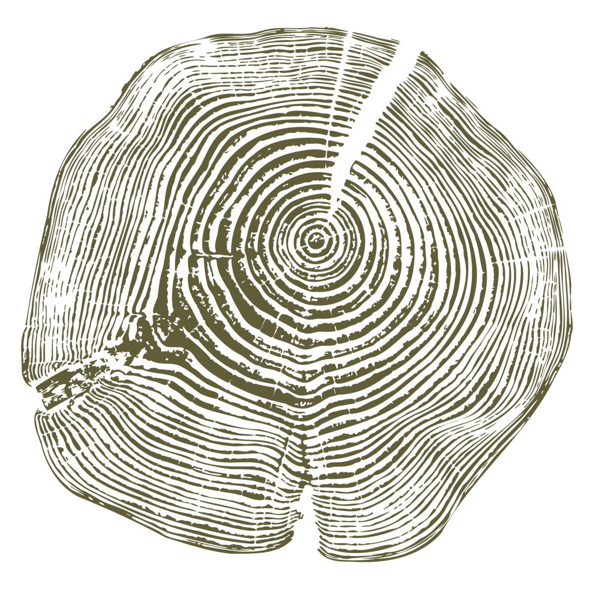 Alyn Wellness tree stump ring print web element